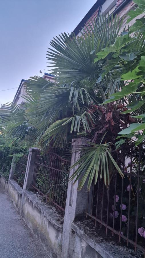 Apartman Roses ซาเกร็บ ภายนอก รูปภาพ